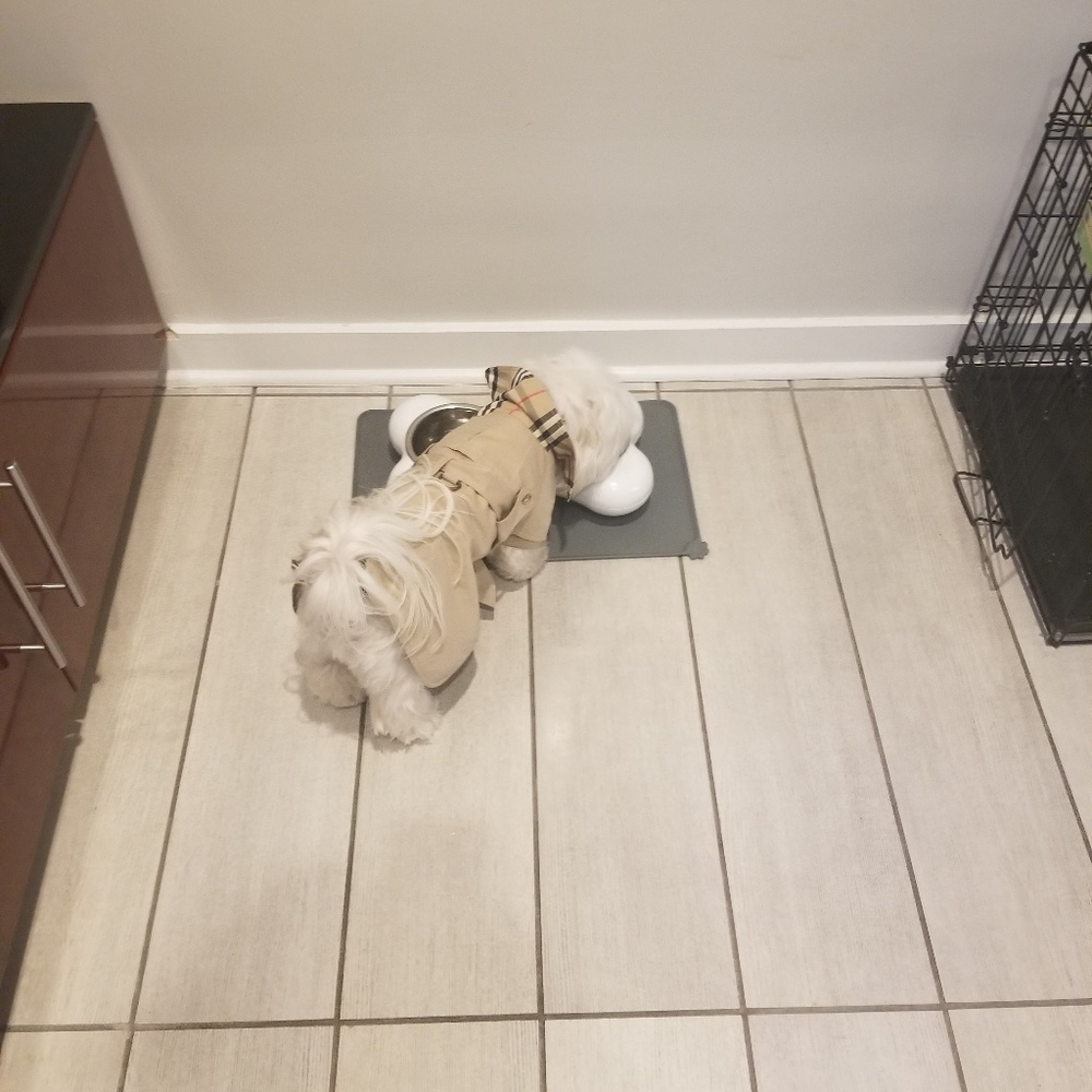 NFS Coco in Burberry Trench Coat